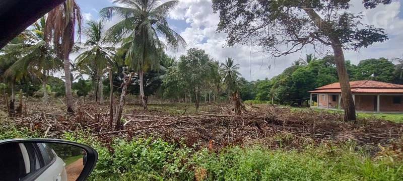 Terreno grande para venda Rua da Suzane, Maioba do Mocajituba, Iguaíba, Paço do Lumiar - Ziag Imóveis