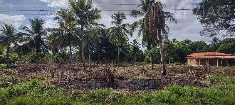 Terreno grande para venda Rua da Suzane, Maioba do Mocajituba, Iguaíba, Paço do Lumiar - Ziag Imóveis