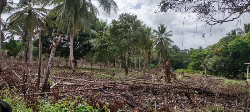 Terreno grande para venda Rua da Suzane, Maioba do Mocajituba, Iguaíba, Paço do Lumiar - Ziag Imóveis