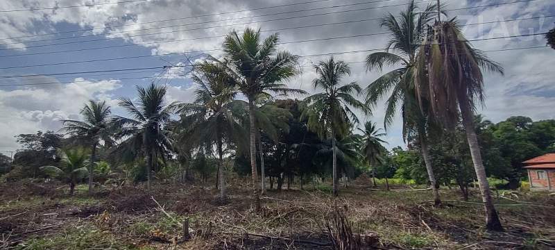 Terreno grande para venda Rua da Suzane, Maioba do Mocajituba, Iguaíba, Paço do Lumiar - Ziag Imóveis